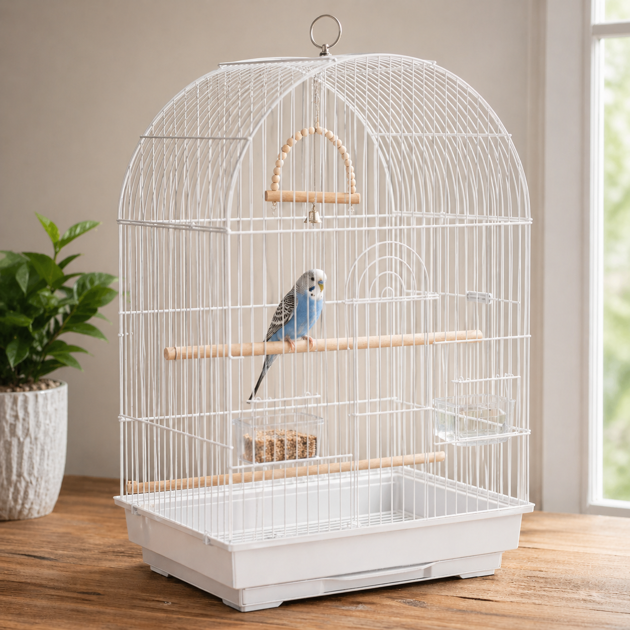 Bird Cages