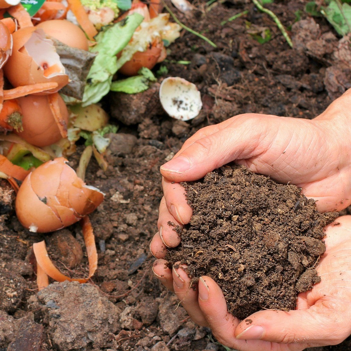 Compost Bins
