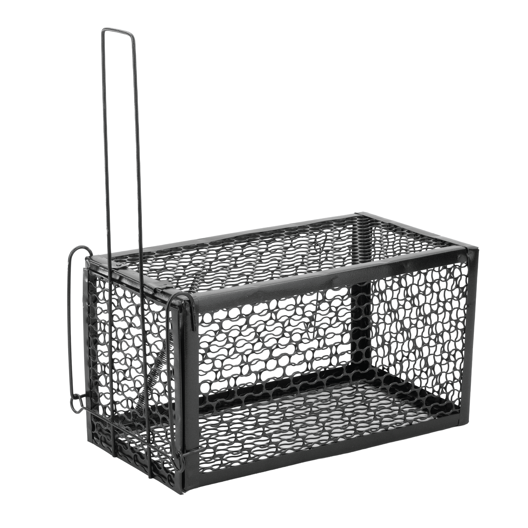 KCT Humane No Kill Rat Traps