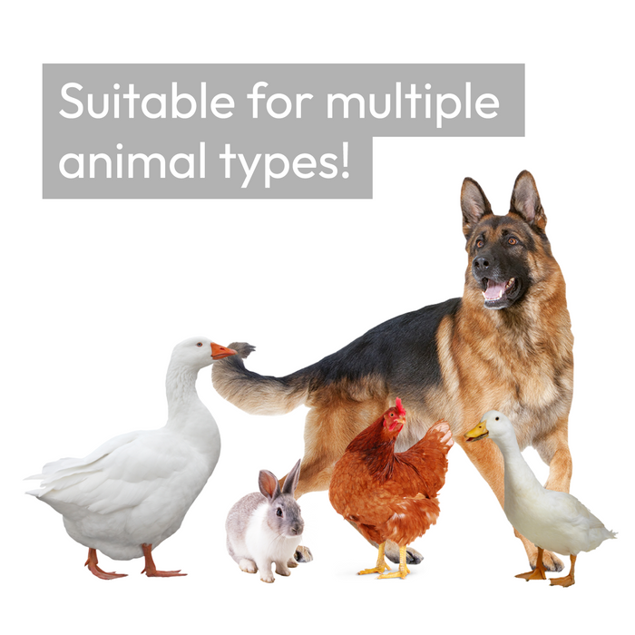 KCT Galvanised 4x3m Walk In Chicken Pet Run