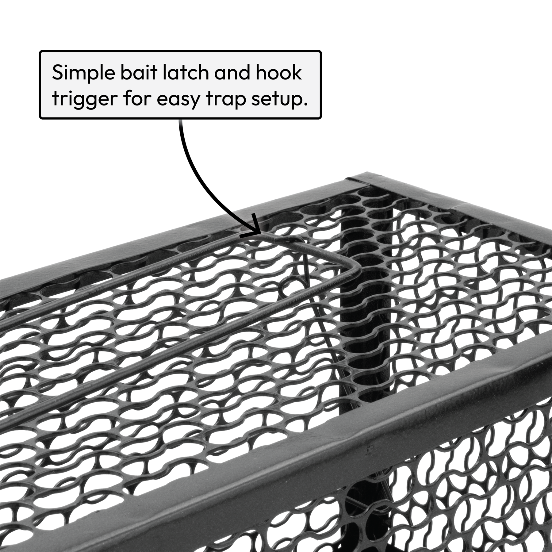 KCT Humane No Kill Rat Traps