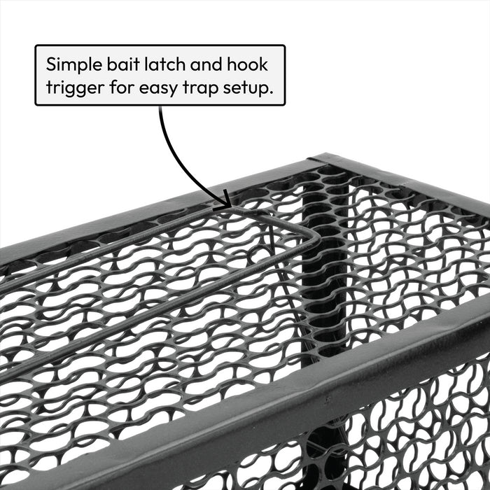 KCT Humane No Kill Rat Traps