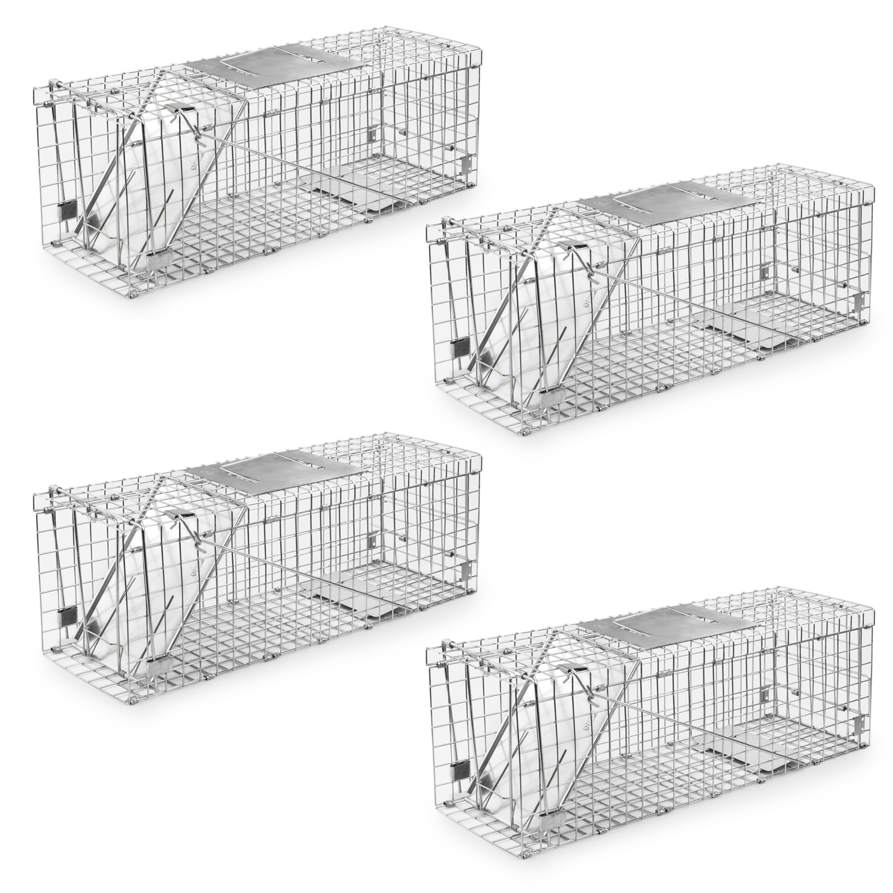 KCT Humane Squirrel Rodent Traps