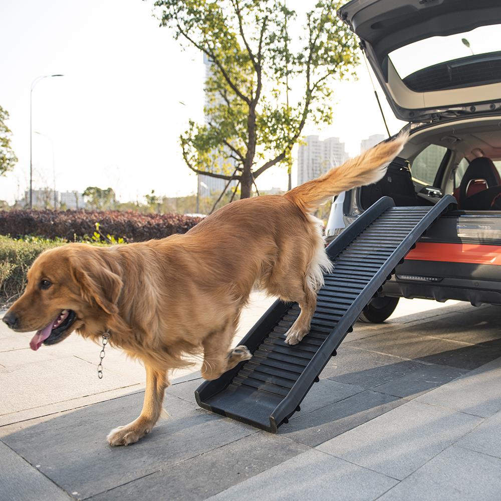 KCT Portable Folding Dog Ramp