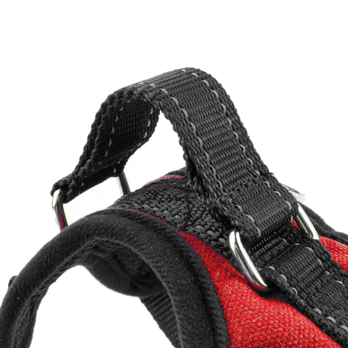 KCT Padded Dog Harnesses - Adjustable Pet Vest