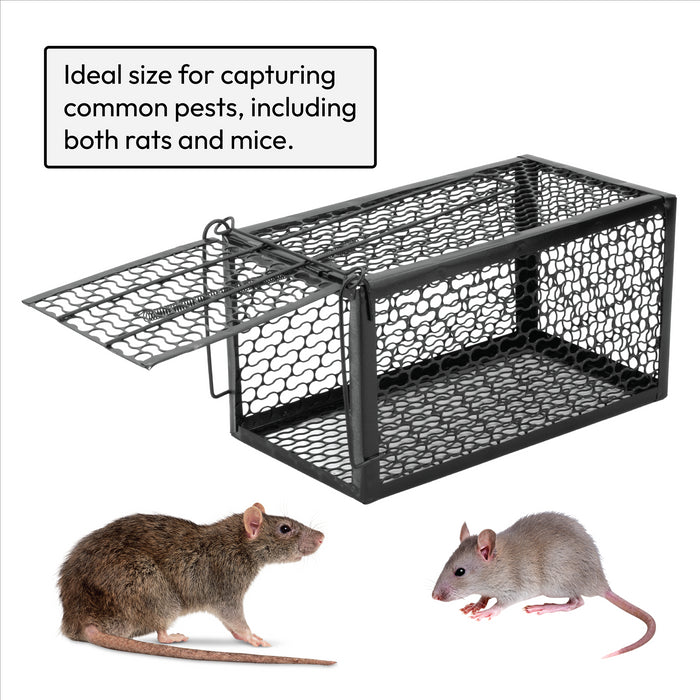 KCT Humane No Kill Rat Traps