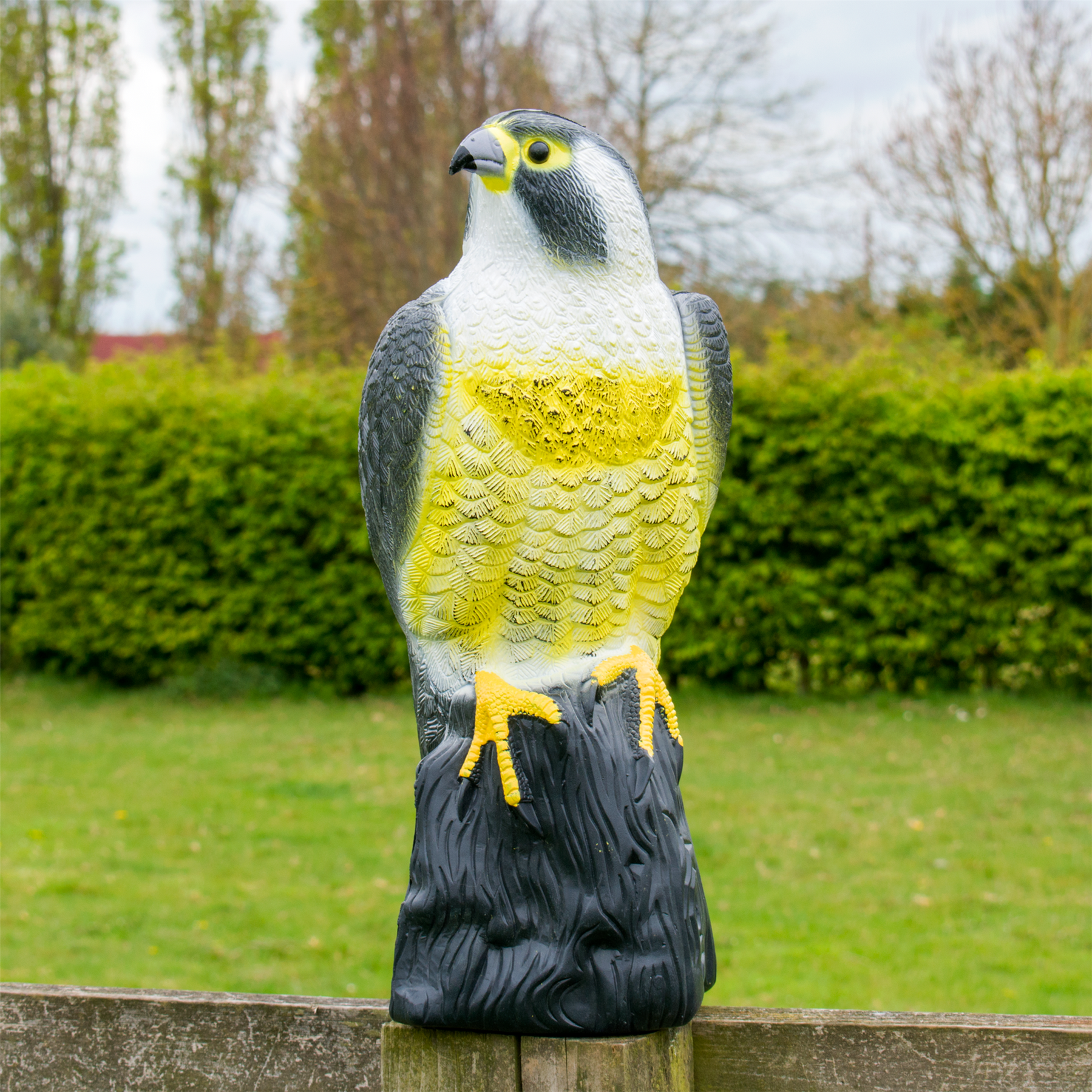 KCT Garden Decorative Decoy Hawk Pest Deterrant Bird Scarer — KCT Direct
