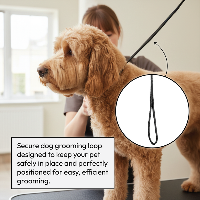 Adjustable Hydraulic Dog Grooming Table - Standard