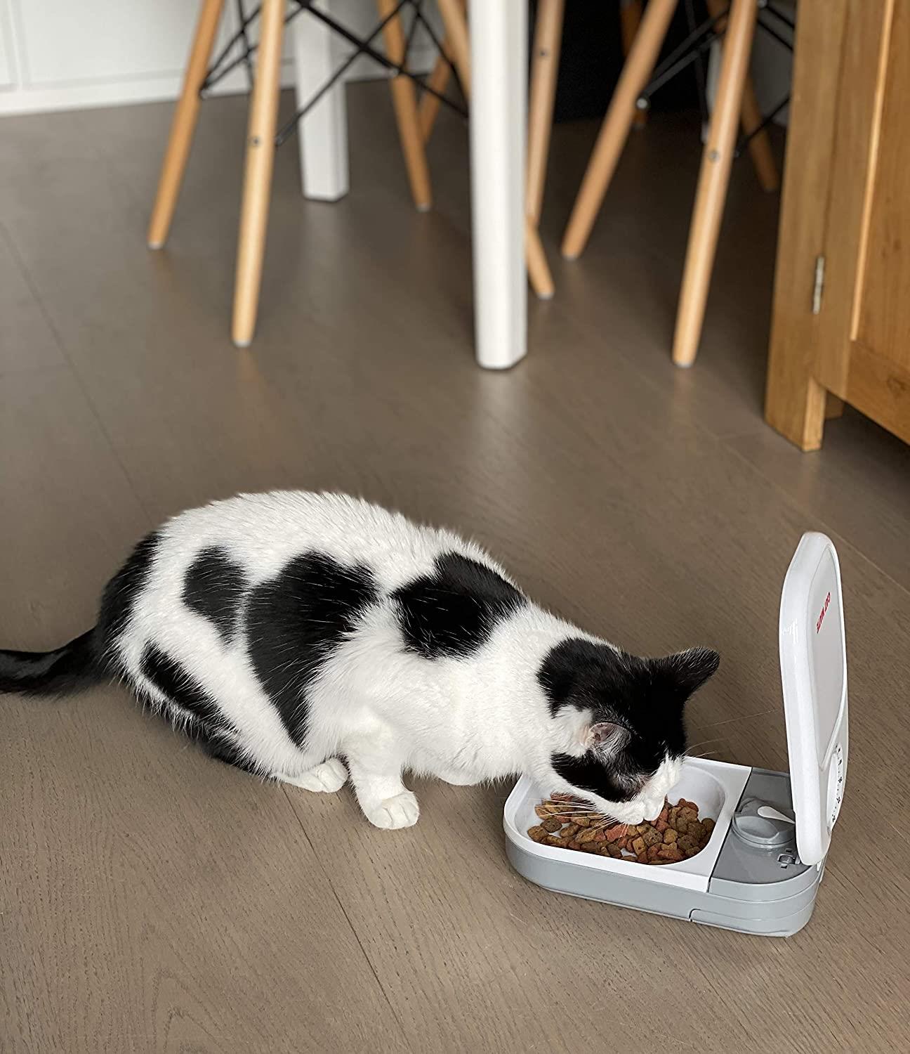 C100 Automatic Pet Feeder - Cat Mate