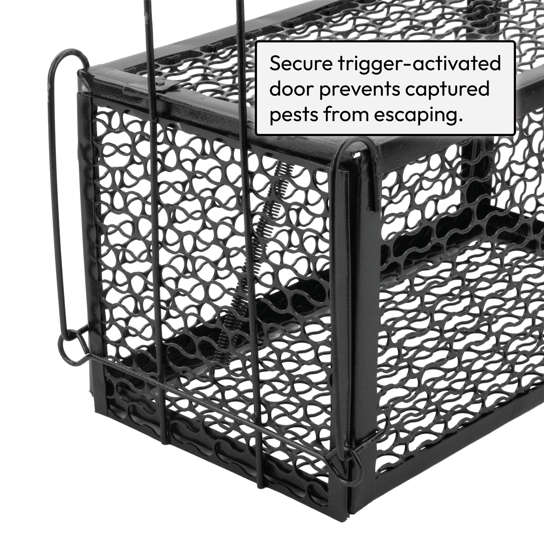 KCT Humane No Kill Rat Traps