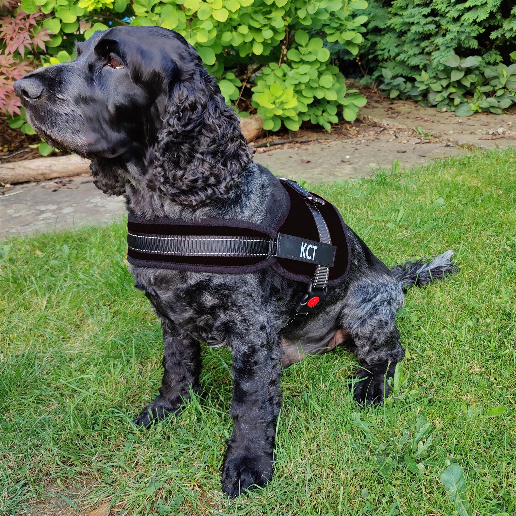 KCT Padded Dog Harnesses - Adjustable Pet Vest