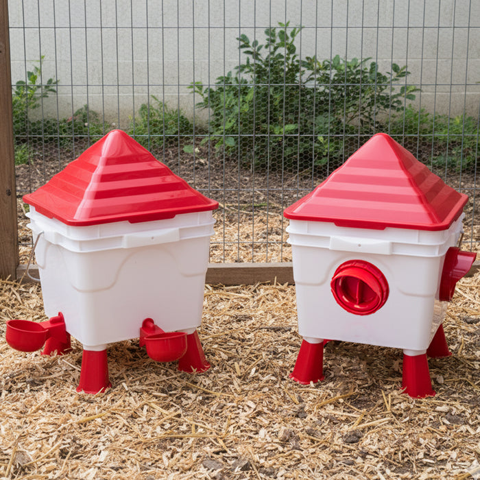 10KG/10L Raised Chicken Feeder & Waterer Set