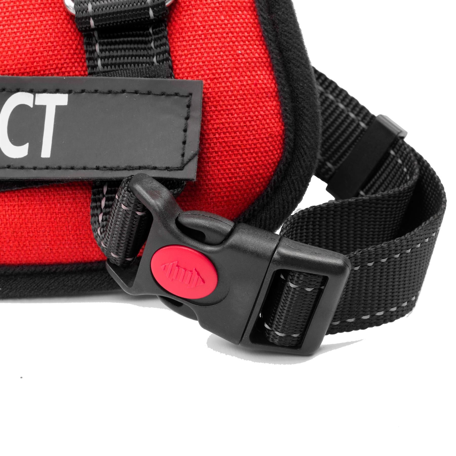 KCT Padded Dog Harnesses - Adjustable Pet Vest