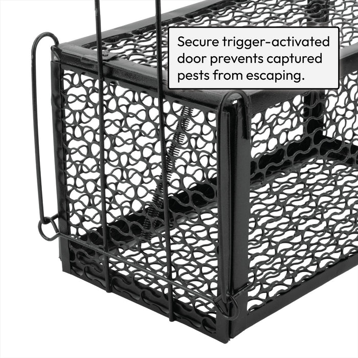 KCT Humane No Kill Rat Traps