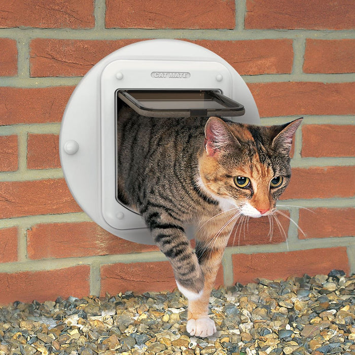 Brick Wall Chipped Cat Door Cat Mate Cat Flap Adaptor Kit For Walls And Glass Panels Pet Entry