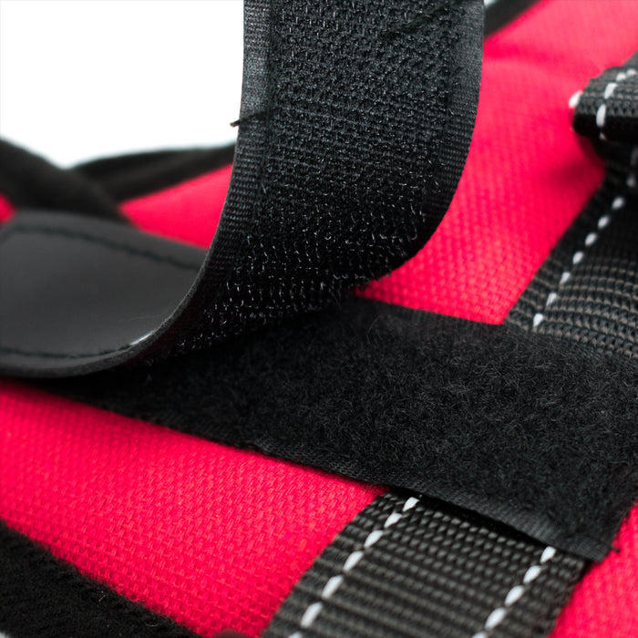 KCT Padded Dog Harnesses - Adjustable Pet Vest