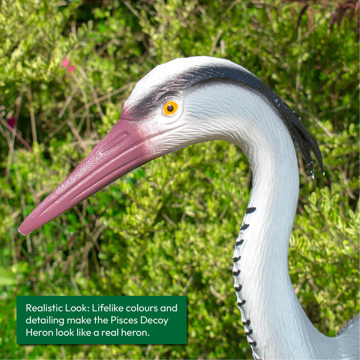 Pisces Pond Decoy Heron