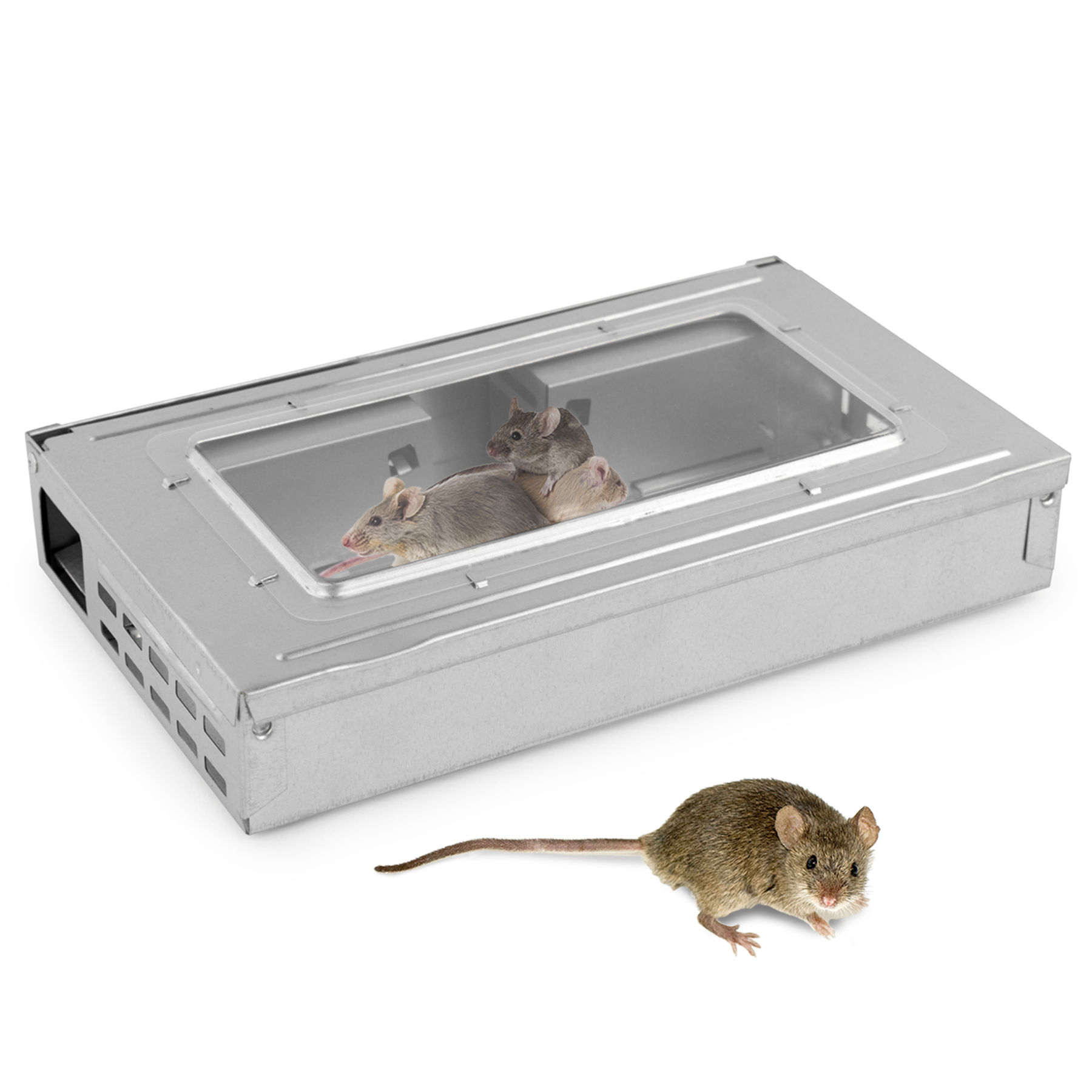 KCT Multi Catch Mouse Traps