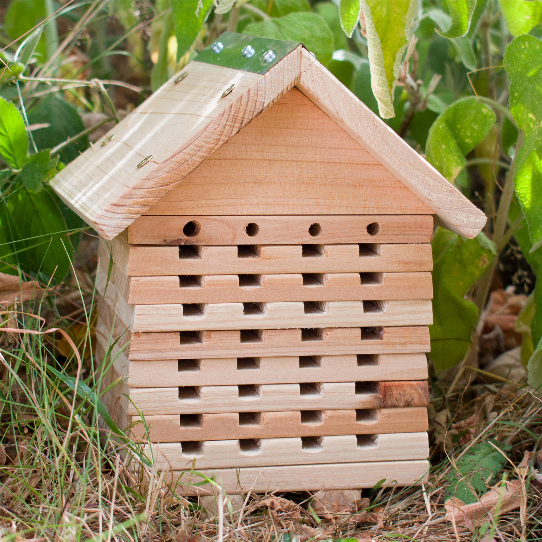 KCT Wooden Bee Hotel