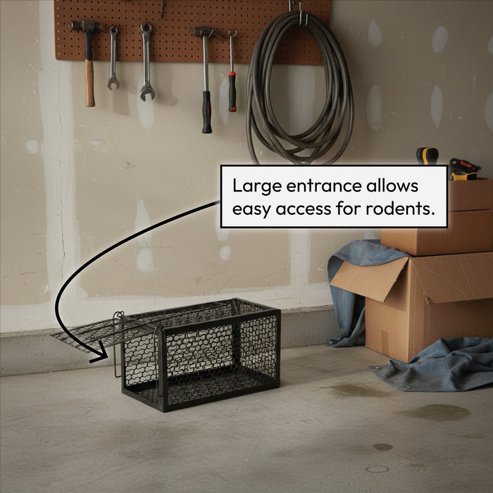 KCT Humane No Kill Rat Traps