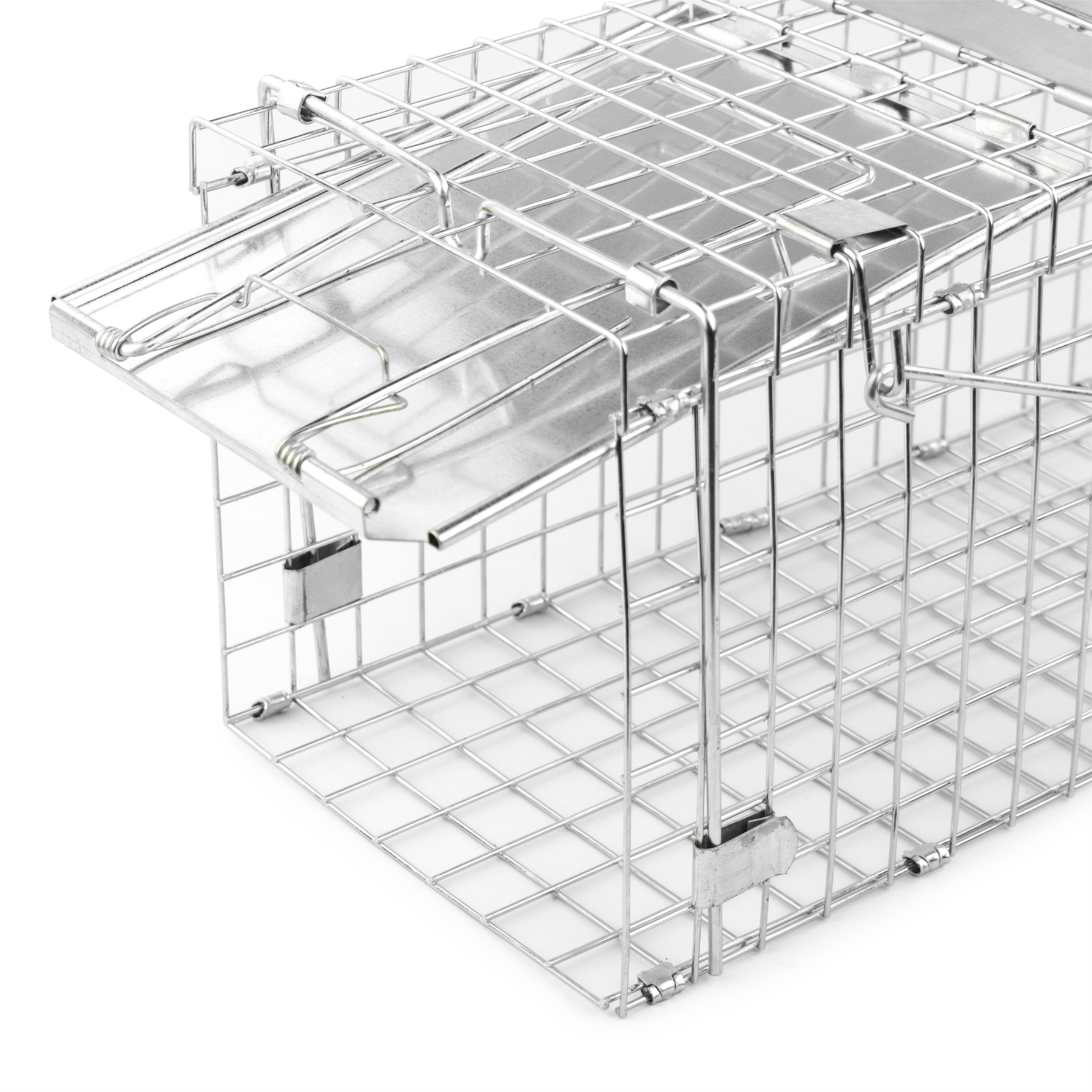 KCT Humane Squirrel Rodent Traps