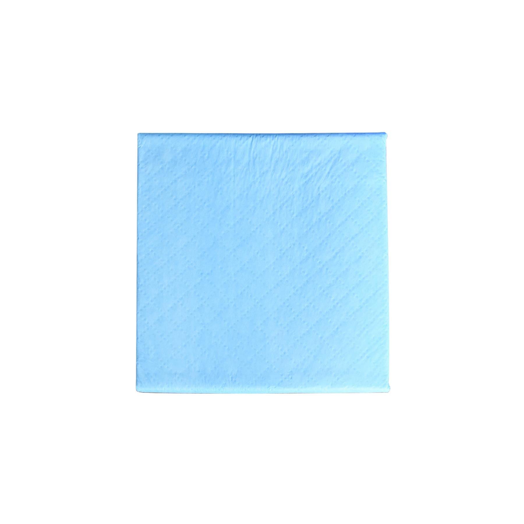 KCT Medium Puppy Pet Training Pads