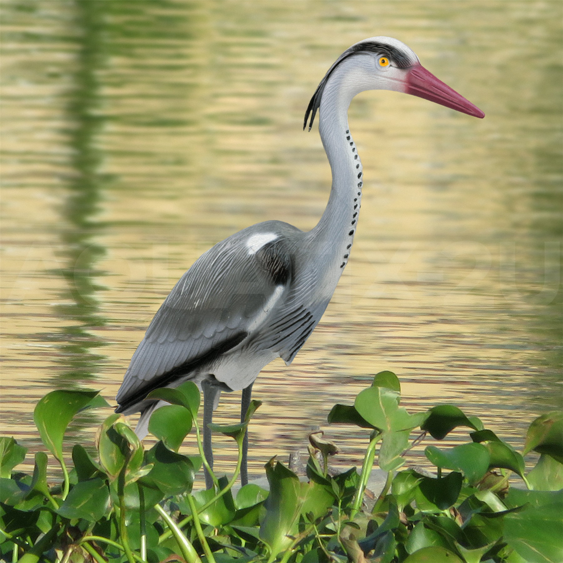 KCT Pond and Garden Decoy Heron