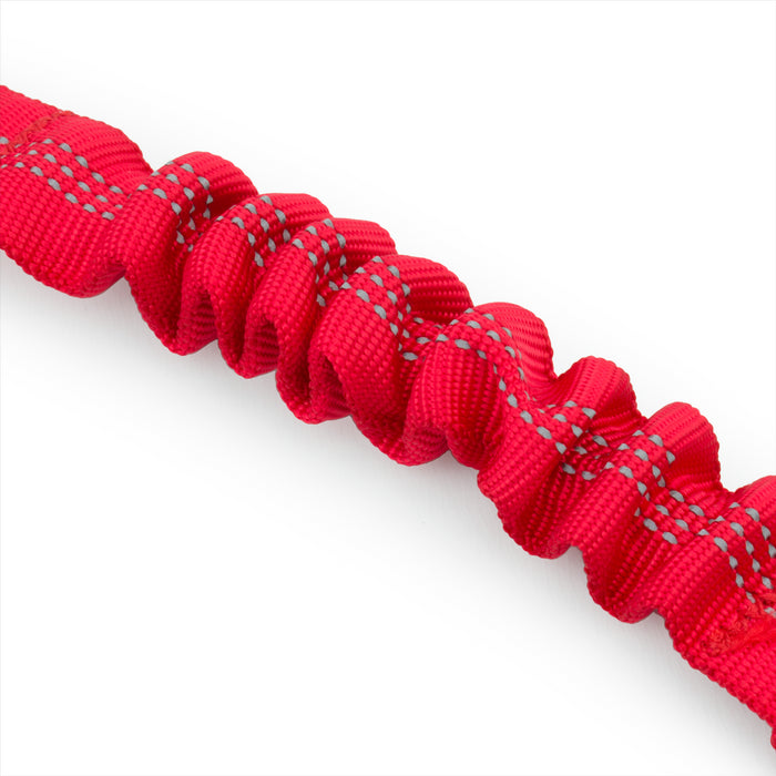 KCT Anti Shock Dog Seat Belt Clips