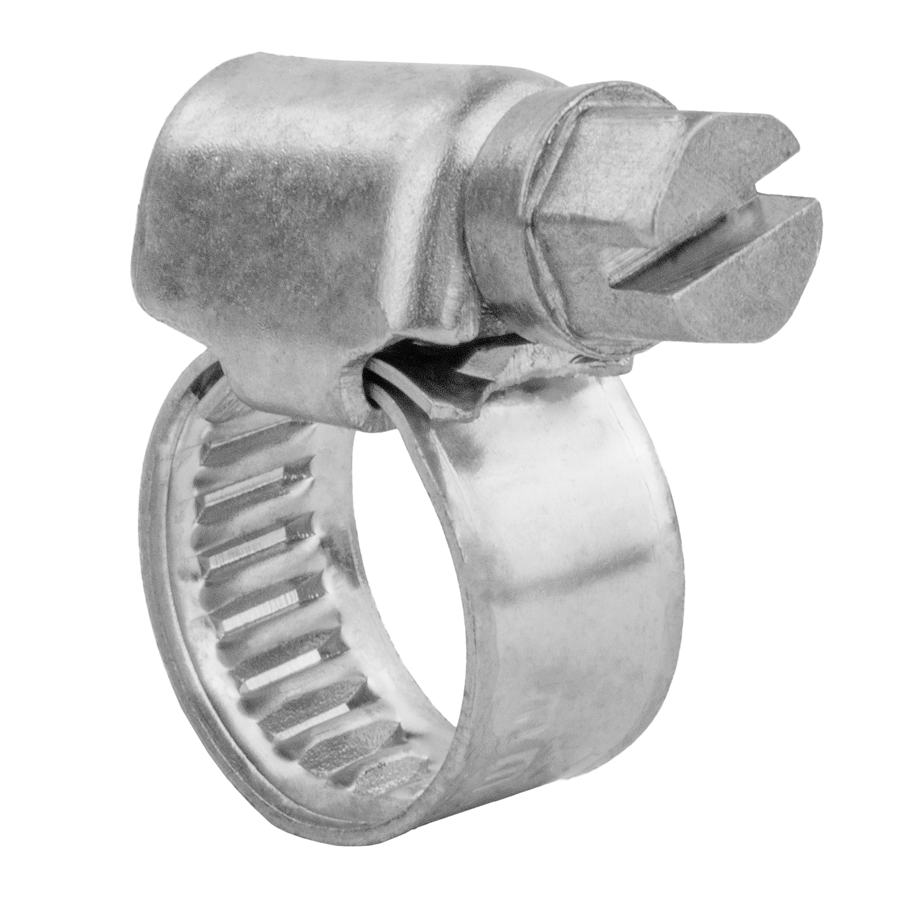 KCT Stainless Steel Hose Pipe Clip Tube Clamps for All types of Hose