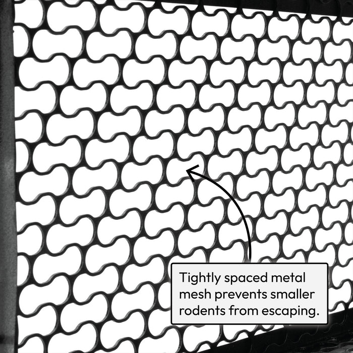 KCT Humane No Kill Rat Traps