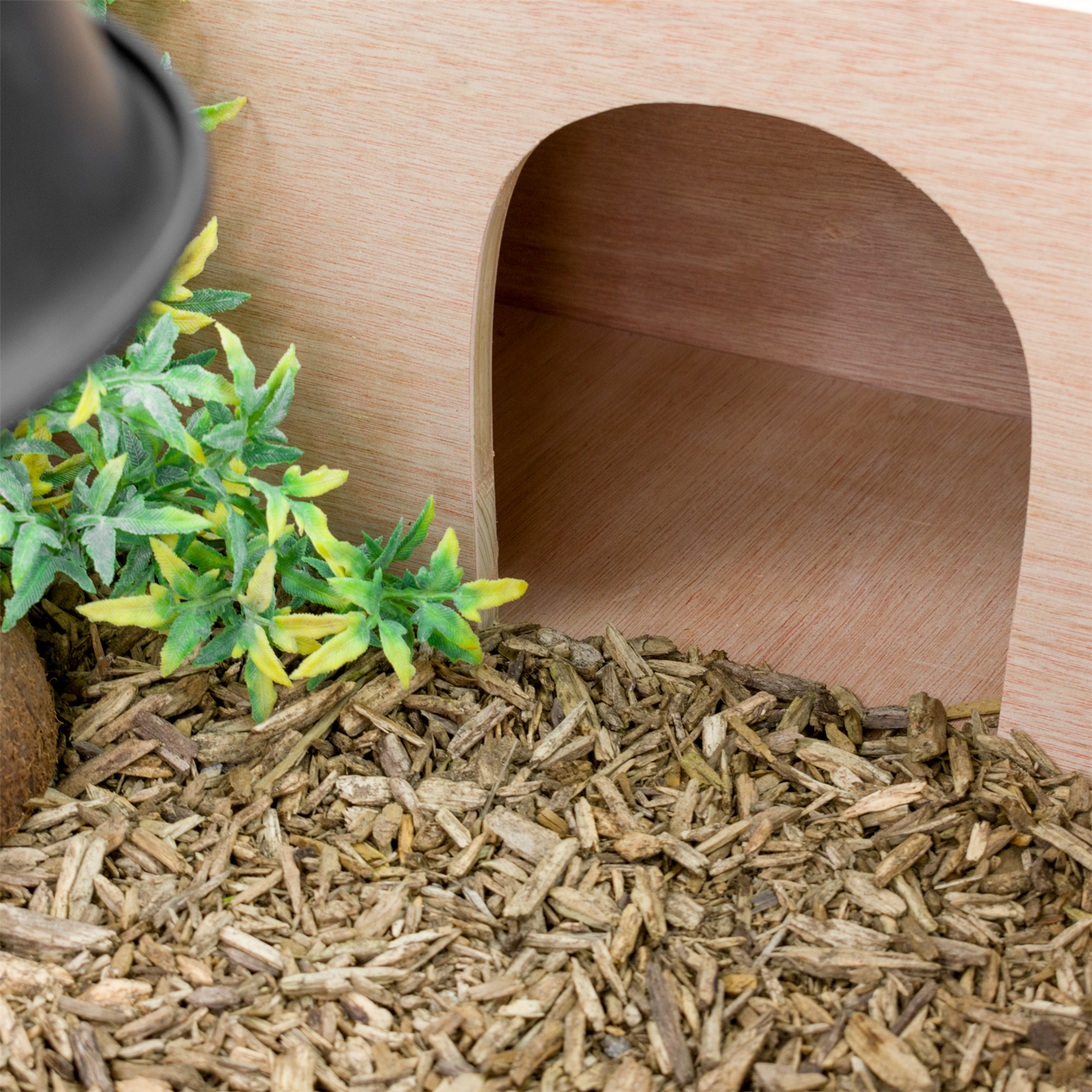 KCT Vivarium Tortoise Table Reptile Run