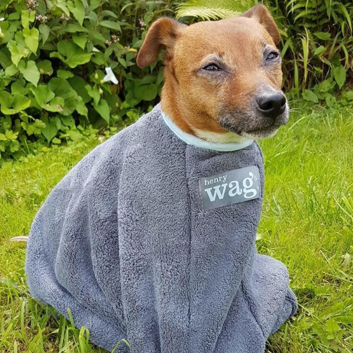 Henry Wag Dog Drying Bag - XS