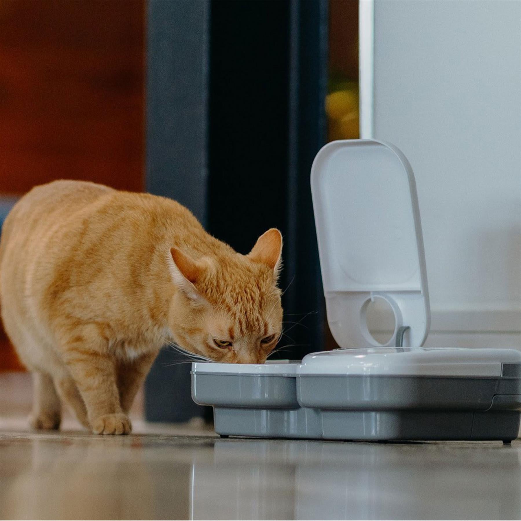 C200 Automatic Pet Feeder - Cat Mate
