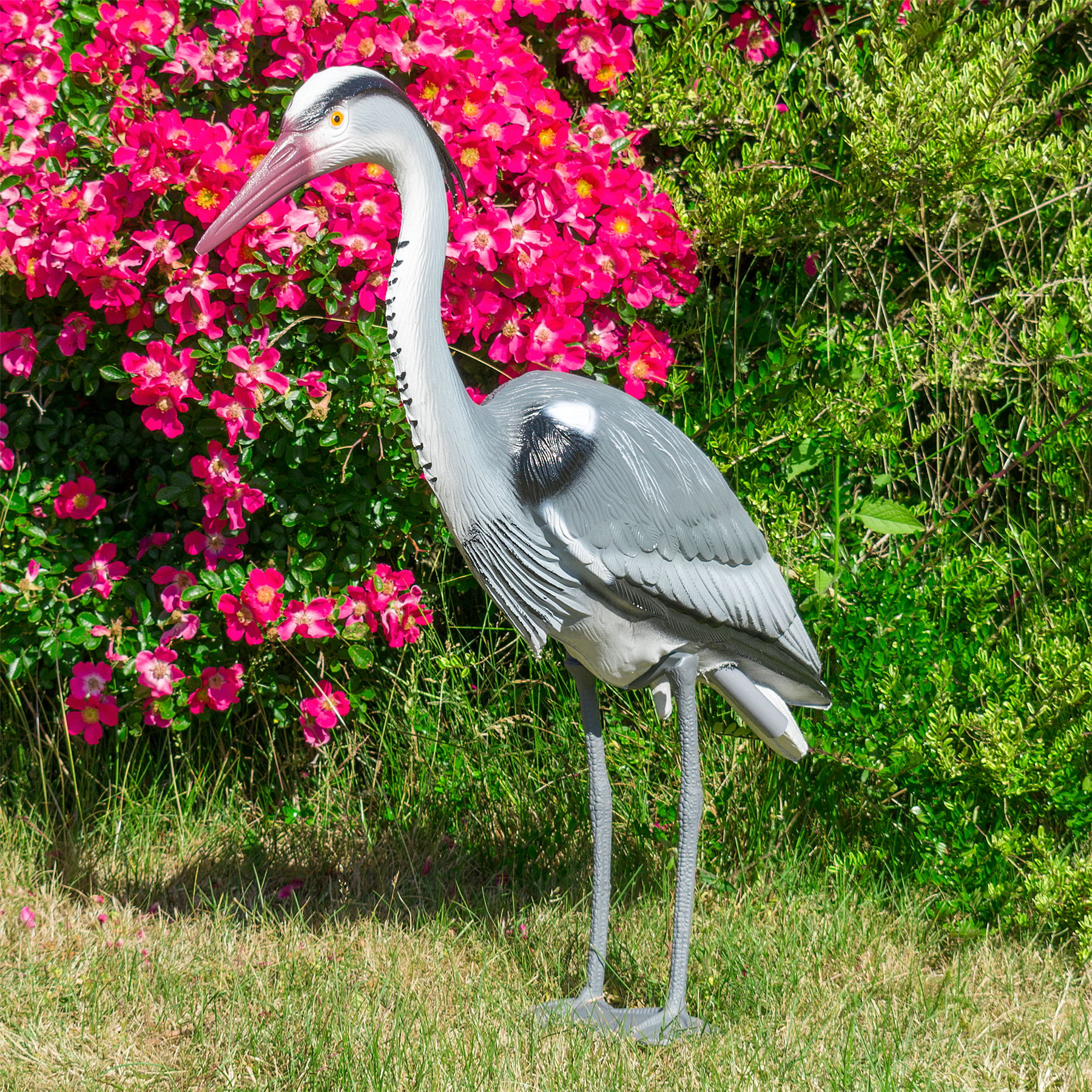 Pisces Pond Decoy Heron