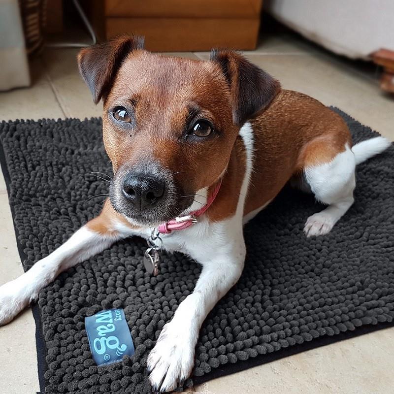 Henry Wag Microfibre Dog Noodle Pet Mats