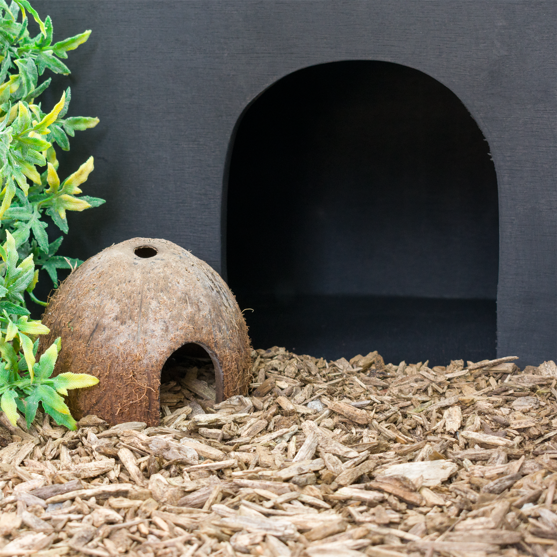 KCT Vivarium Tortoise Table Reptile Run